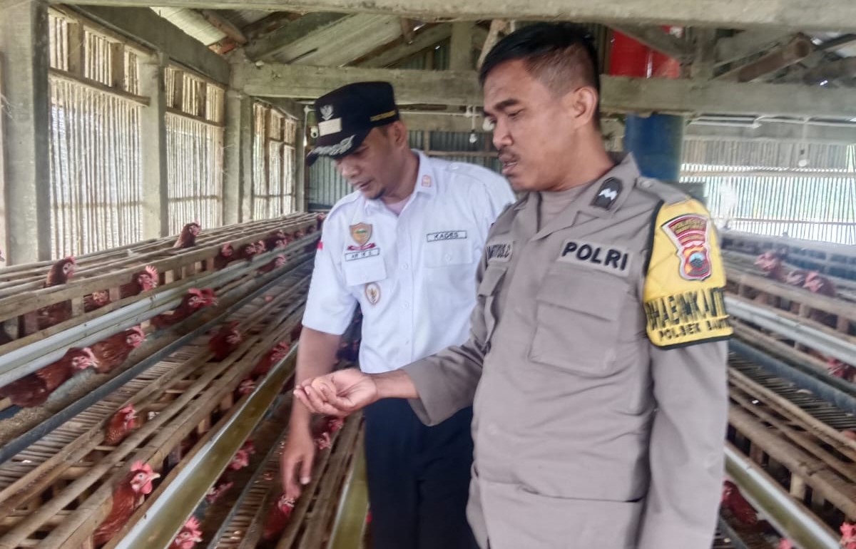 Bhabinkamtibmas Polresta Banyumas Dampingi Pengecekan Peternakan Ayam BUMDes Pasinggangan