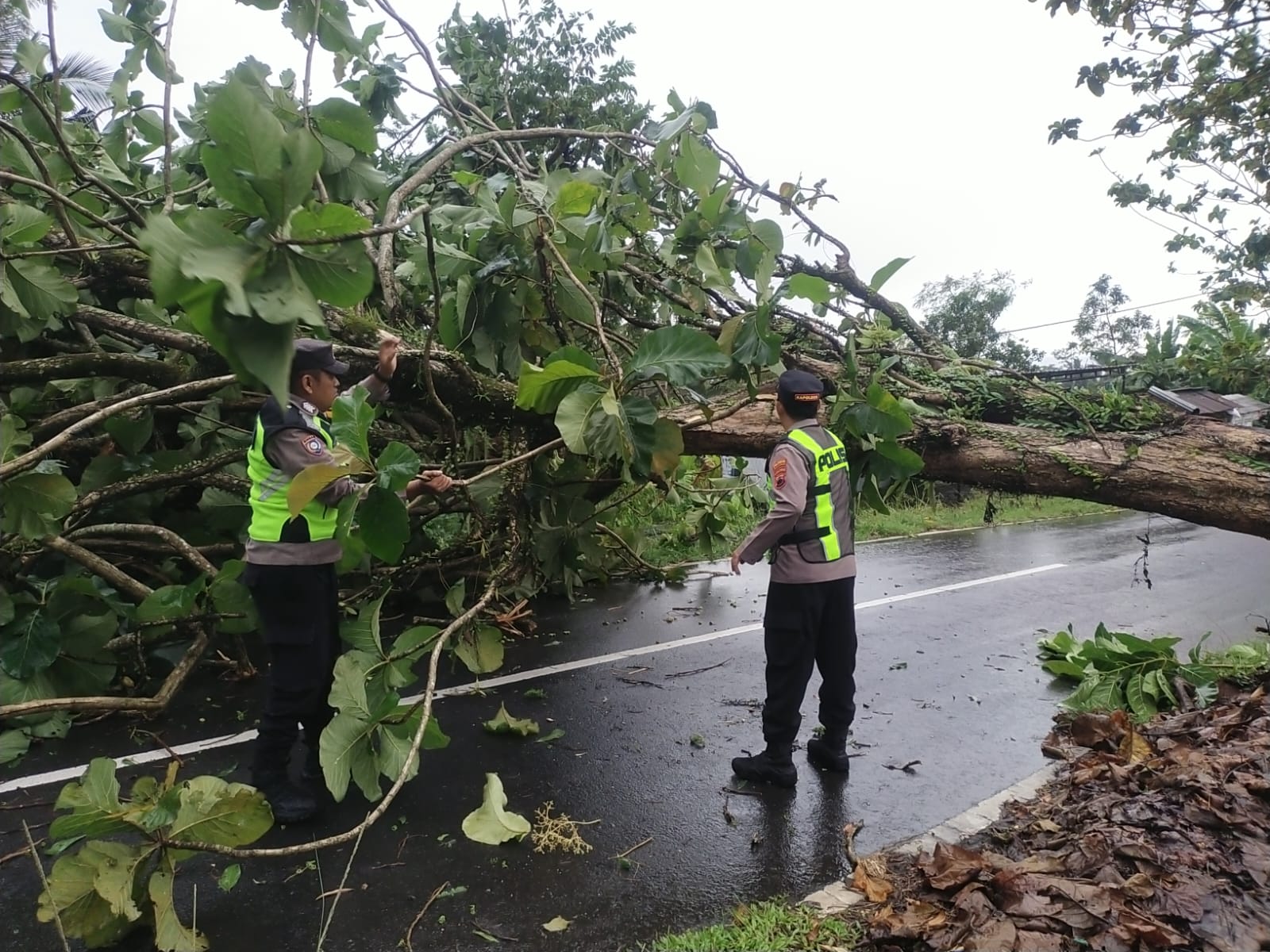 Quick Response Polsek Baturraden Polresta Banyumas Tangani Dampak Angin Kencang di Sejumlah Desa